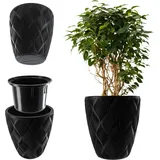 Kadax 40 x 40 x 20 cm Schwarz