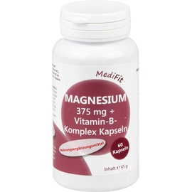ApoFit Arzneimittelvertrieb GmbH Magnesium 375 mg+Vitamin B-komplex Kapseln