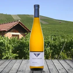 Bernhard Ellwanger Riesling bunter Mergel trocken 2021