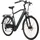 ADORE E-Citybike 28 Zoll RH 55 cm Unisex blau