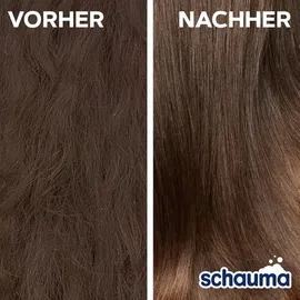 Spülung Schauma Sprüh Spülung Repair und Pflege