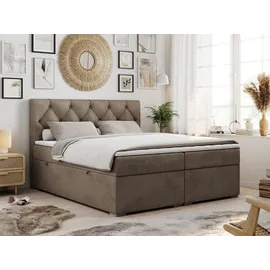 MKS Boxspringbett 160 x 200 cm H3 Braun