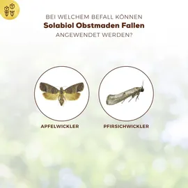 Solabiol Obstmaden Fallen 5 Stück