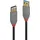 Lindy USB-A 2 m Schwarz