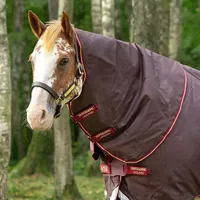 Horseware Amigo Bravo 12 Turnout Hood Medium 150g -