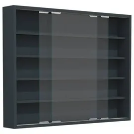 VCM Vitrine ¦ grau ¦ Maße cm