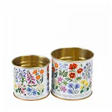 Rex London Mini-Aufbewahrungsdosen (2er-Set) - Wild Flowers - Metall-Deko-Dosen - Wildblumen, Ø 8 x 7,5 cm & Ø 7 x 6,5 cm