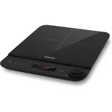 SALENTE InductPro1