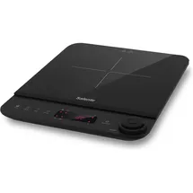 SALENTE InductPro1