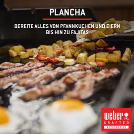 Weber Spirit E-325 GBS schwarz 1500895