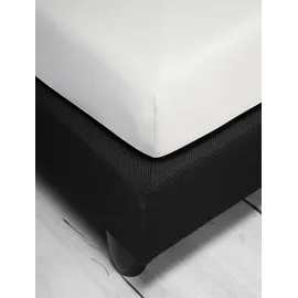 IRISETTE Spannbettlaken Jersey-Baumwolle-Elasthan 150 x 200 cm weiß