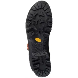 Salewa Rapace GTX Herren Bergrot/Holland 45