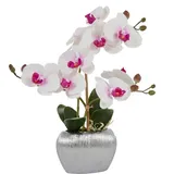 Home Affaire Kunstpflanze Orchidee, Home affaire, Höhe 38 cm, Kunstorchidee, im Topf weiß 13 cm x 38 cm x 6,5 cm