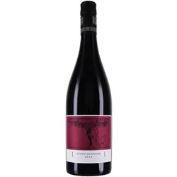 Friedrich Becker Spätburgunder 2019 - Rotwein / trocken - Deutschland / Pfalz - Spätburgunder / Weingut Friedrich Becker