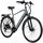 Zündapp Z810 2021 28 Zoll RH 52 cm grau