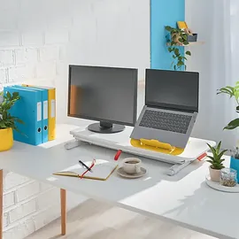 Leitz Ergo Cosy Schreibtischaufsatz Grau 1 St.