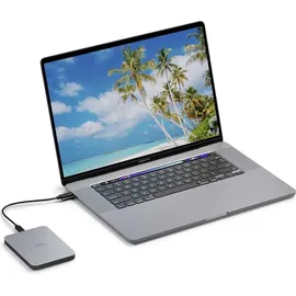 LaCie Mobile Drive Moon 1 TB USB 3.0 Silber STLP1000400