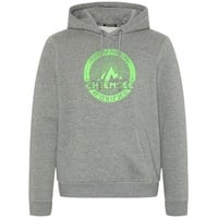 Chiemsee Hoodie in Grau - S