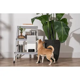 Petcube BITES 2 LITE Fütterungs-Kamera