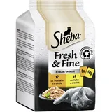 Sheba Fresh & Fine in Gelee