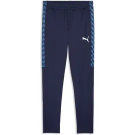 Puma teamLIGA26 Training Pants XL