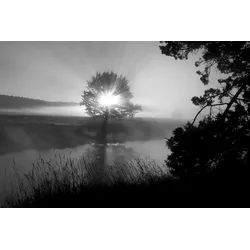 Fototapete PAPERMOON "Landschaft schwarz & weiß", schwarz (schwarz, weiß), B:3,00m L:2,23m, Vlies, Tapeten