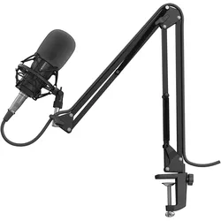 Kabelgebunden Studio-Mikrofon  Radium 300 XLR (Schwarz) 