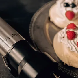 Zeegma 5 in 1 Stabmixer