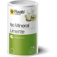 Raab Vitalfood Iso-Mineral Limette Pulver 600 g