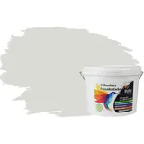 RyFo Colors Silikonharz Fassadenfarbe Lotuseffekt Trend Weißtöne Grauweiß 3l - bunte Fassadenfarbe, weitere Weiß Farbtöne und Größen erhältlich, Deckkraft Klasse 1