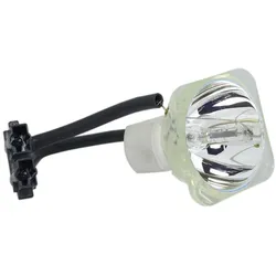 Beamerlampe (nur Leuchtmittel) für LIESEGANG (ersetzt: 310 6472, 310-6472)