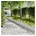 x 5 10