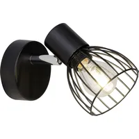 Brilliant Blacky (62110/06)
