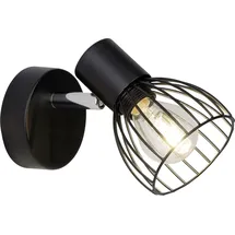Brilliant Blacky (62110/06)