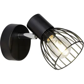 Brilliant Blacky (62110/06)
