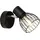 Brilliant Blacky (62110/06)