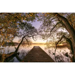 Fototapete PAPERMOON "Photo-Art KELLER, HERBST", bunt, B:4,50m L:2,80m, Vlies, Tapeten