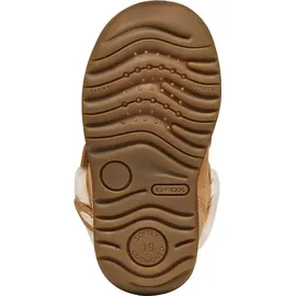 GEOX Macchia Whisky 23