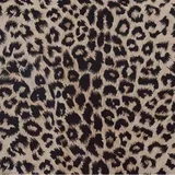 Vayliro 2m Stoff Breit 150cm Leopardenmuster Stoff,Stoff aus Stretch,Bastelstoffe Dekostoff Meterware Bedruckte Stoffe Polyester Bekleidungsstoff für DIY Nähen Handwerk Kleidungsdekoration,Braun