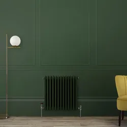 Gliederheizkörper (2-säulig), horizontal - Auswahl an sanften Farbtönen - Größe wählbar – Regent von Hudson Reed