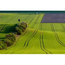 Fototapete PAPERMOON "Hügel", bunt, B:2,50m L:1,86m, Vlies, Tapeten