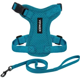 Best Pet Supplies Voyager Step-in Lock Katzengeschirr und reflektierende Katzenleine mit Neoprengriff by Best Pet Supplies - Unterstützt kleine, mittelgroße und große Katzenrassen, Türkis, size S - 1,5 m