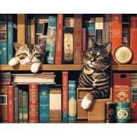 TISHIRON DIY Malen Nach Zahlen Für Erwachsene Katze Auf Bücherregalerie Malen Nach Zahlen Für Erwachsene Kinder Auf Leinwand Malen Nach Zahlen Für Anfänger 16x20 Zoll