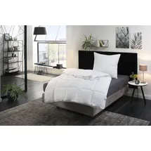 RIBECO Kunstfaserbettdecke RIBECO "Isabel", weiß, B:155cm L:220cm, Bezug: 100% Polyester. Füllung: 100% Polyester, Bettdecken, Luxus Daunenfeeling mit natürlichem Milbenschutz