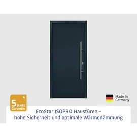 Hörmann EcoStar ISOPRO IP 010 rechts 110 x 210 cm anthrazitgrau