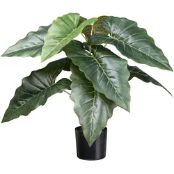 CREATIV green Künstliche Pflanze Taro 66cm im Topf