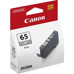 Ink/CLI-65 GY EUR/OCN Cartridge