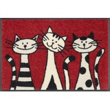 Wash+Dry Fußmatte Three Cats 40x60 cm,