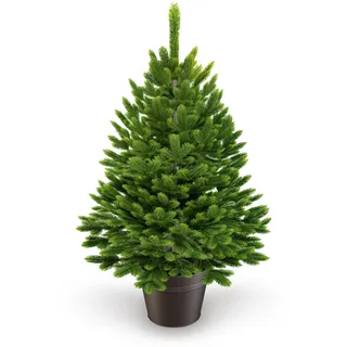 artitree Künstlicher Weihnachtsbaum 60cm im Topf - Christmas Tree für Innen und Außen, Kunstlich Baum für Weihnachtsdeko, Realistische Optik