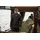 Game of Thrones - Staffel 6 (DVD)